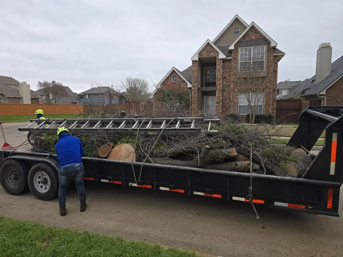 Expert Tree Pest Control with proper safety equipment in Gibson